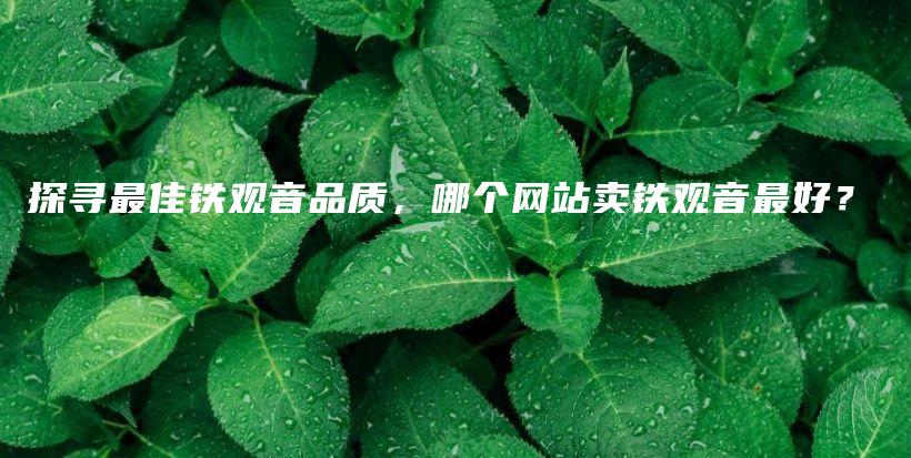 探尋最佳鐵觀音品質(zhì)，哪個網(wǎng)站賣鐵觀音最好？插圖