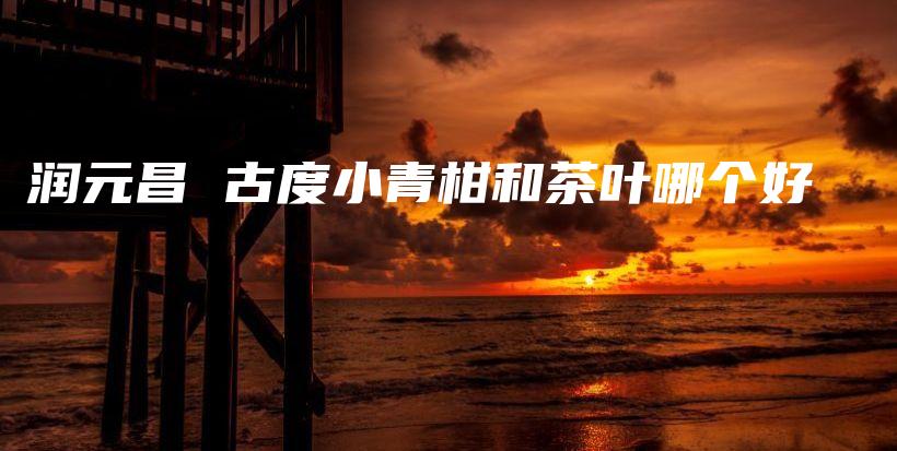 潤(rùn)元昌 古度小青柑和茶葉哪個(gè)好插圖