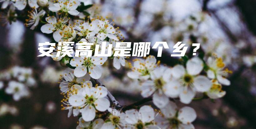 安溪高山是哪個(gè)鄉(xiāng)？插圖