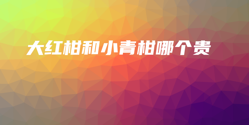 大紅柑和小青柑哪個貴插圖