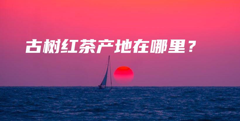 古樹紅茶產(chǎn)地在哪里？插圖