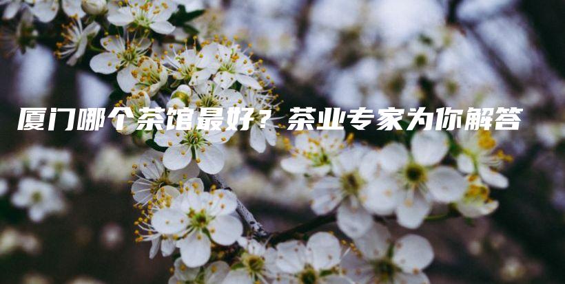 廈門哪個茶館最好？茶業(yè)專家為你解答插圖