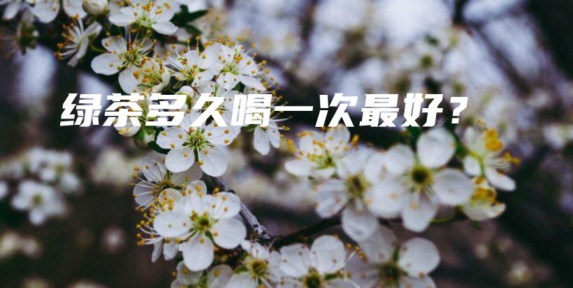綠茶多久喝一次最好？插圖