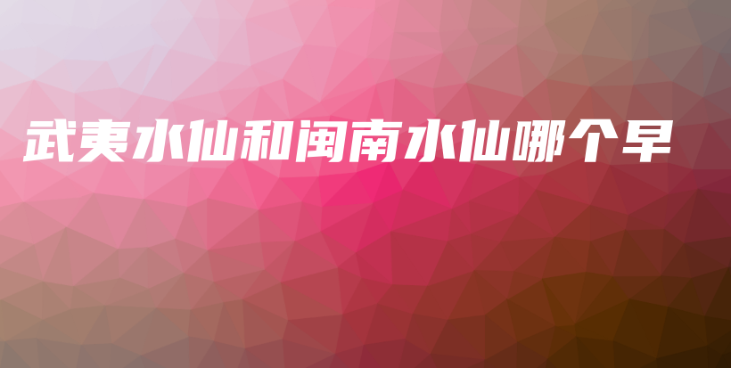 武夷水仙和閩南水仙哪個早插圖