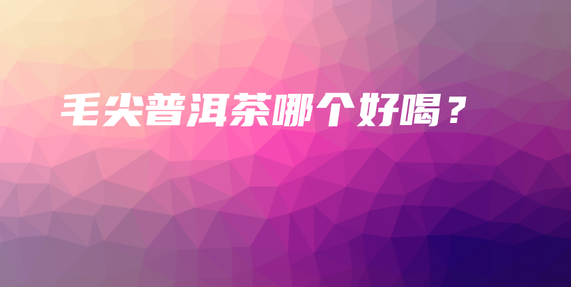 毛尖普洱茶哪個(gè)好喝？插圖