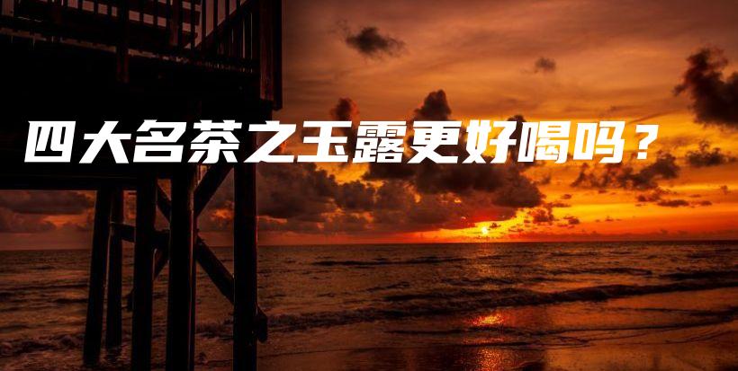 四大名茶之玉露更好喝嗎？插圖