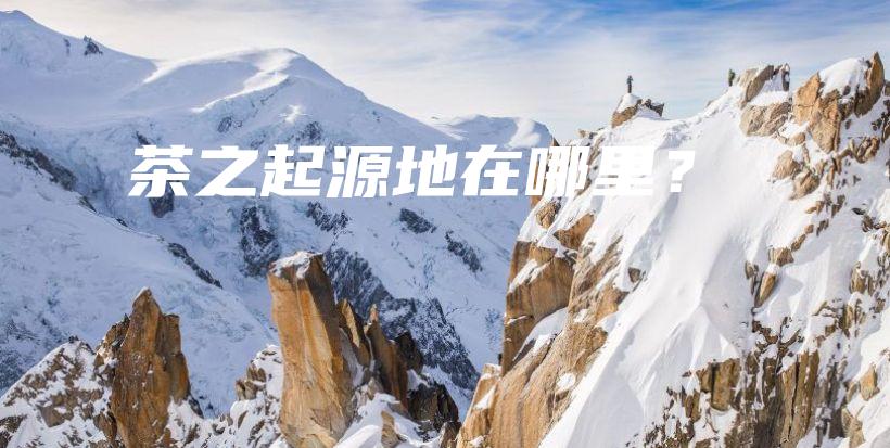 茶之起源地在哪里？插圖