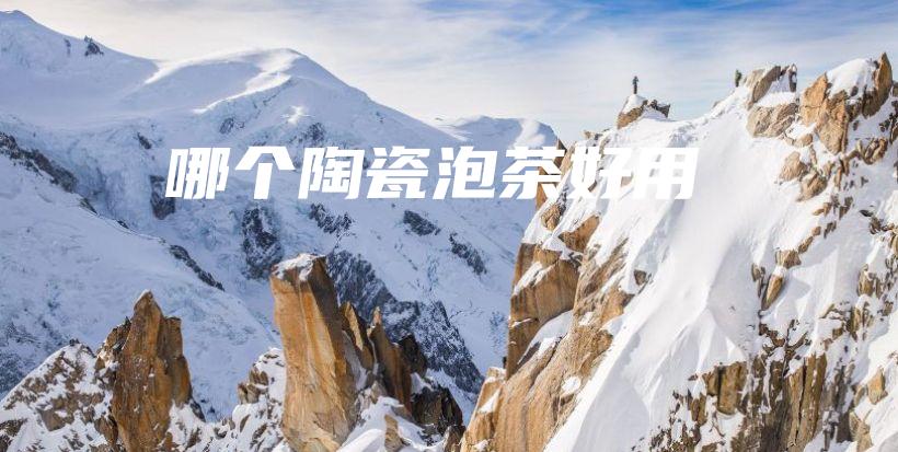 哪個(gè)陶瓷泡茶好用插圖