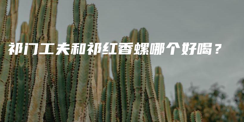 祁門工夫和祁紅香螺哪個好喝？插圖