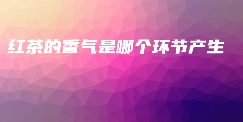 紅茶的香氣是哪個環(huán)節(jié)產(chǎn)生插圖