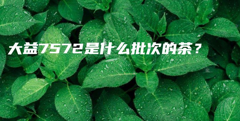 大益7572是什么批次的茶？插圖