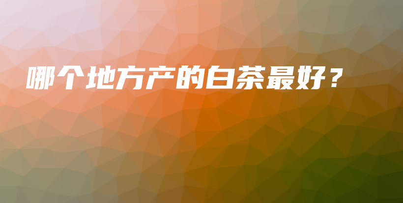 哪個(gè)地方產(chǎn)的白茶最好？插圖