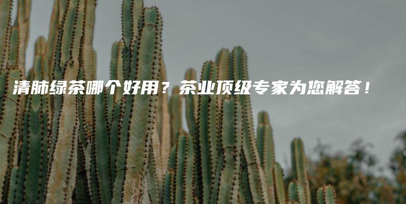 清肺綠茶哪個(gè)好用？茶業(yè)頂級(jí)專家為您解答！插圖