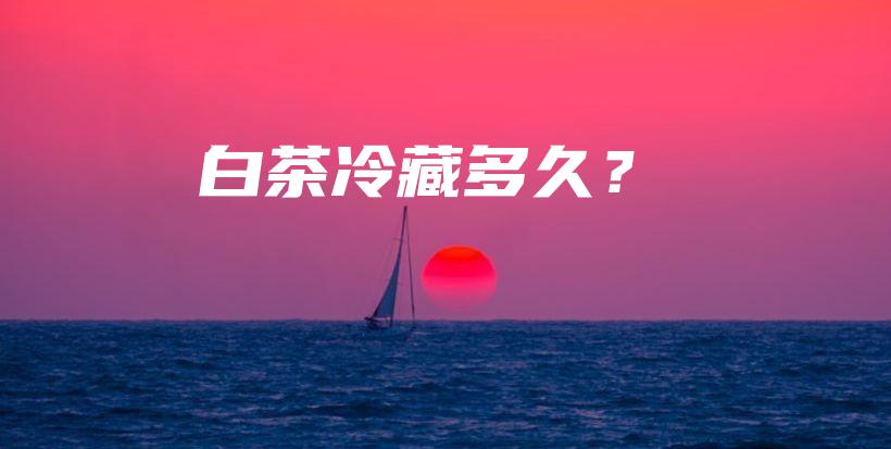 白茶冷藏多久？插圖