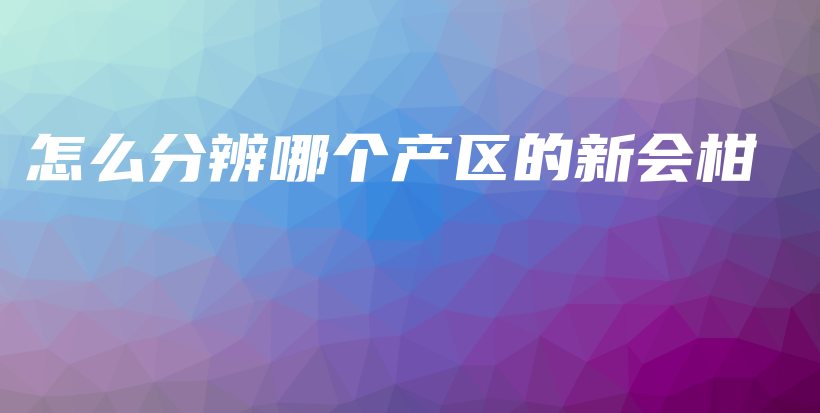 怎么分辨哪個(gè)產(chǎn)區(qū)的新會(huì)柑插圖