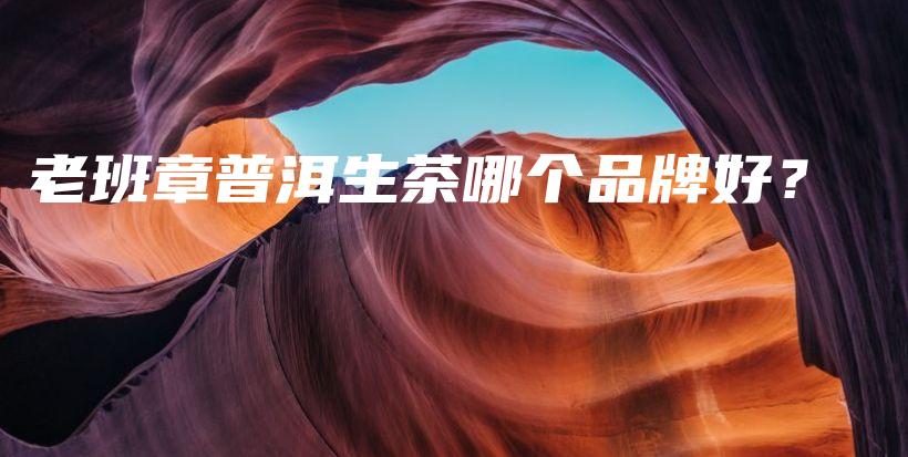 老班章普洱生茶哪個(gè)品牌好？插圖