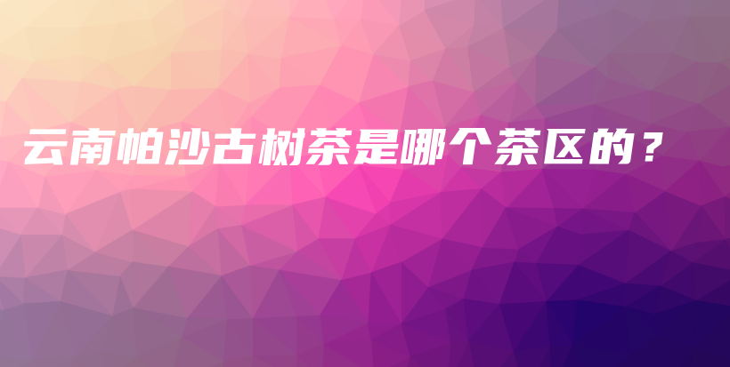 云南帕沙古樹茶是哪個(gè)茶區(qū)的？插圖