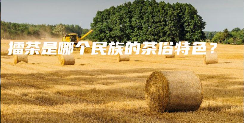 擂茶是哪個民族的茶俗特色？插圖