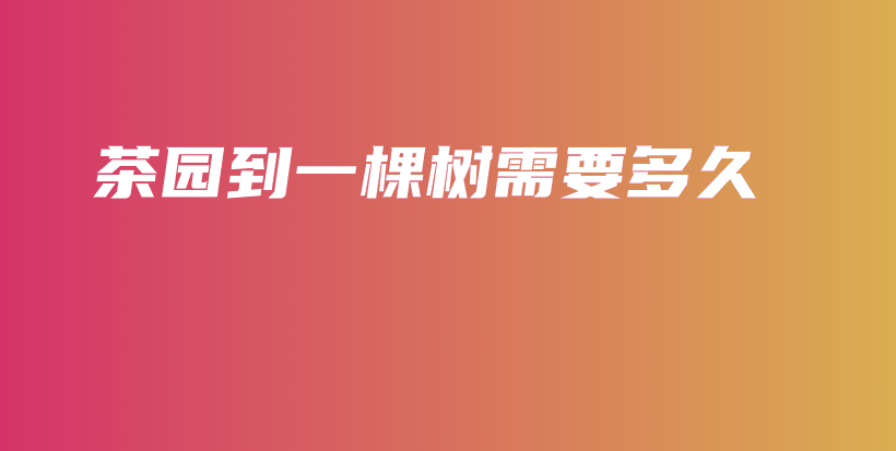 茶園到一棵樹需要多久插圖