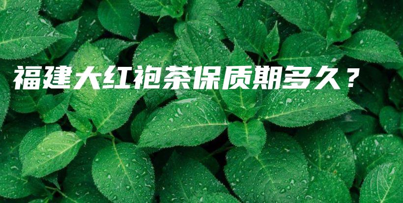 福建大紅袍茶保質期多久？插圖