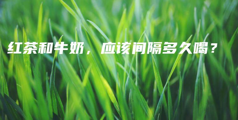 紅茶和牛奶，應(yīng)該間隔多久喝？插圖