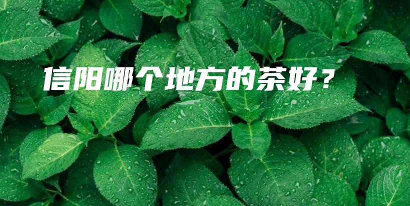 信陽哪個地方的茶好？插圖
