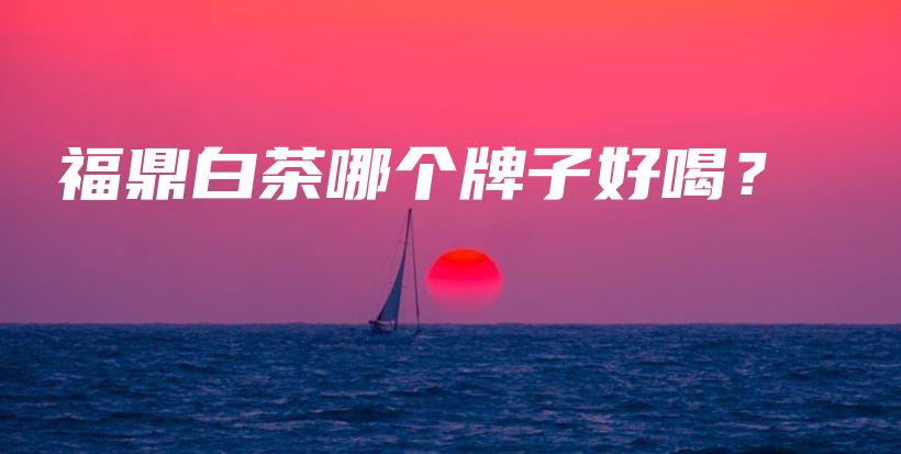 福鼎白茶哪個(gè)牌子好喝？插圖