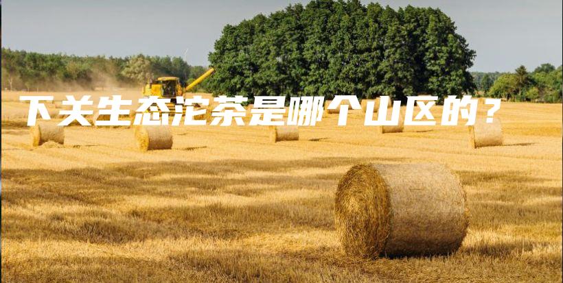 下關(guān)生態(tài)沱茶是哪個山區(qū)的？插圖