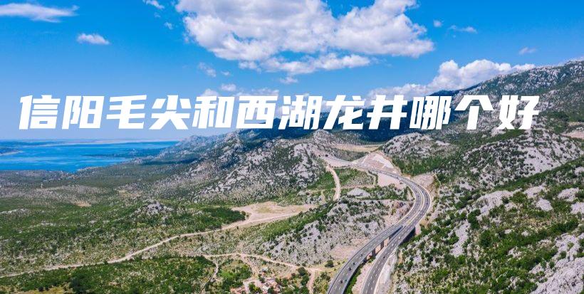 信陽毛尖和西湖龍井哪個好插圖