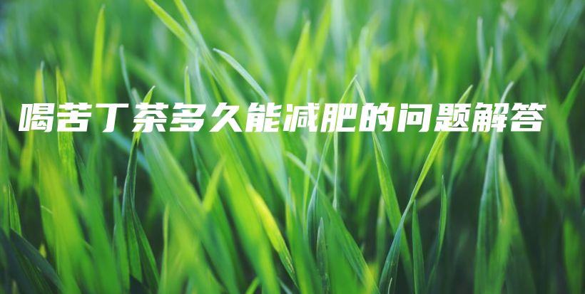 喝苦丁茶多久能減肥的問題解答插圖