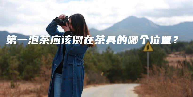 第一泡茶應該倒在茶具的哪個位置？插圖