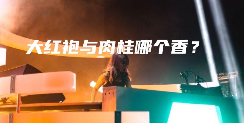 大紅袍與肉桂哪個香？插圖