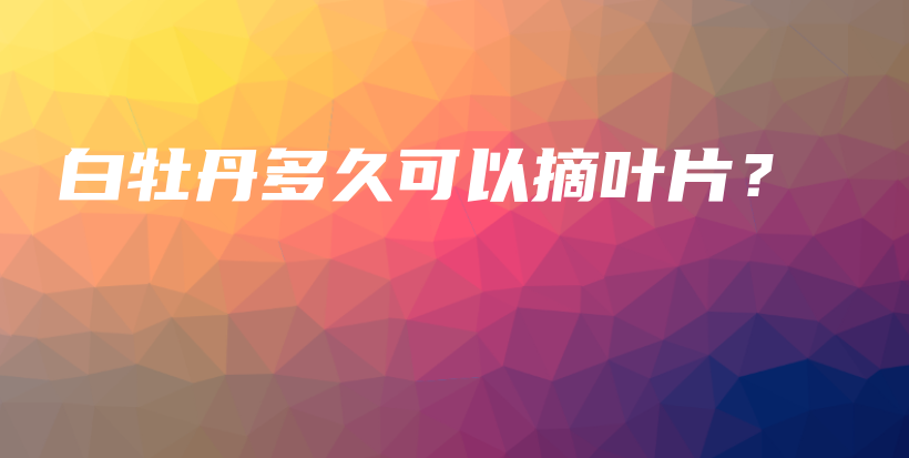 白牡丹多久可以摘葉片？插圖