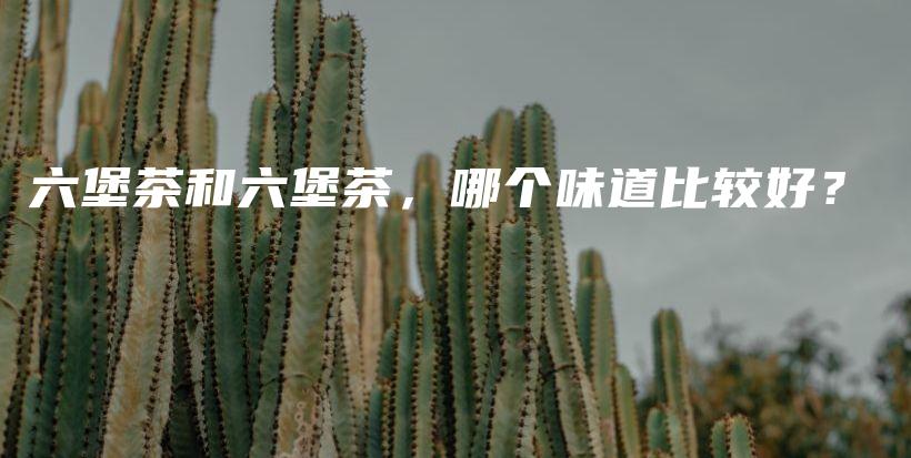 六堡茶和六堡茶，哪個(gè)味道比較好？插圖