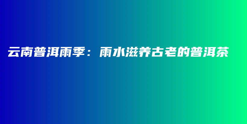 云南普洱雨季：雨水滋養(yǎng)古老的普洱茶插圖