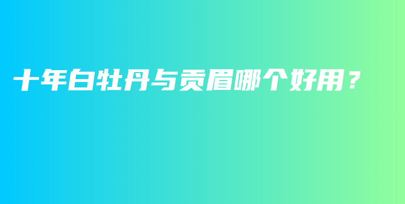 十年白牡丹與貢眉哪個好用？插圖