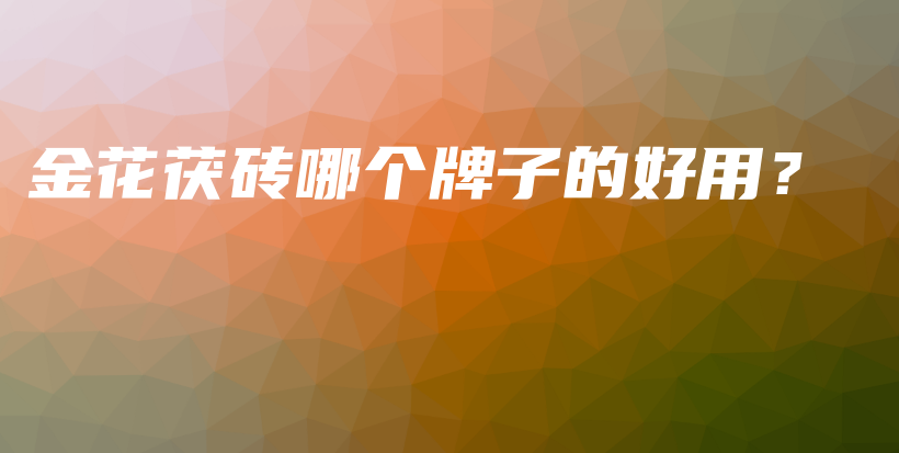 金花茯磚哪個牌子的好用？插圖