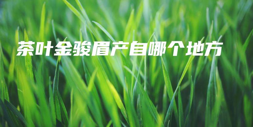 茶葉金駿眉產(chǎn)自哪個(gè)地方插圖