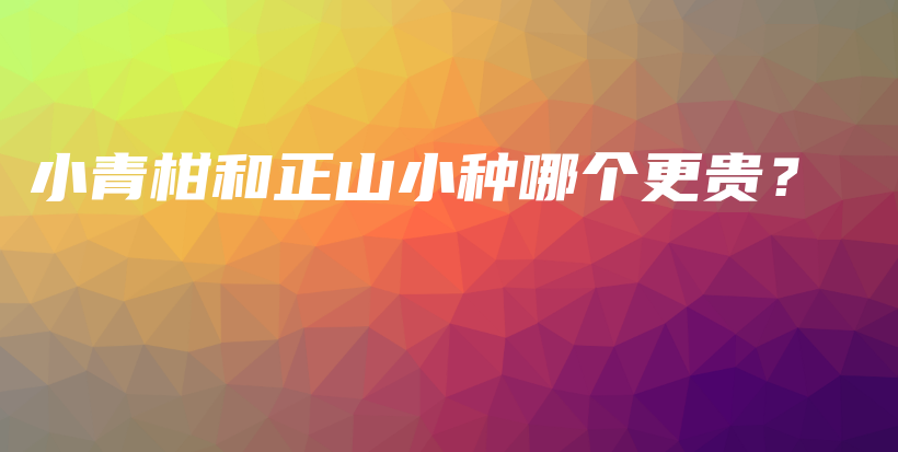 小青柑和正山小種哪個(gè)更貴？插圖