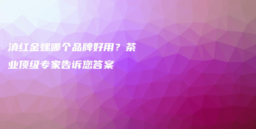 滇紅金螺哪個(gè)品牌好用？茶業(yè)頂級(jí)專家告訴您答案插圖