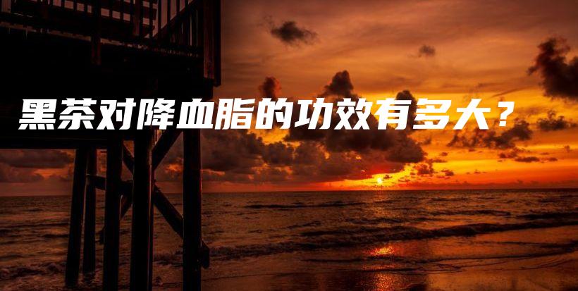 黑茶對降血脂的功效有多大？插圖