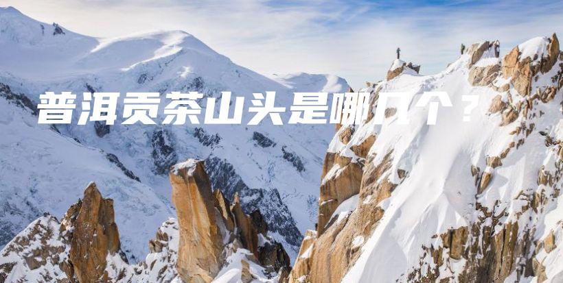 普洱貢茶山頭是哪幾個？插圖