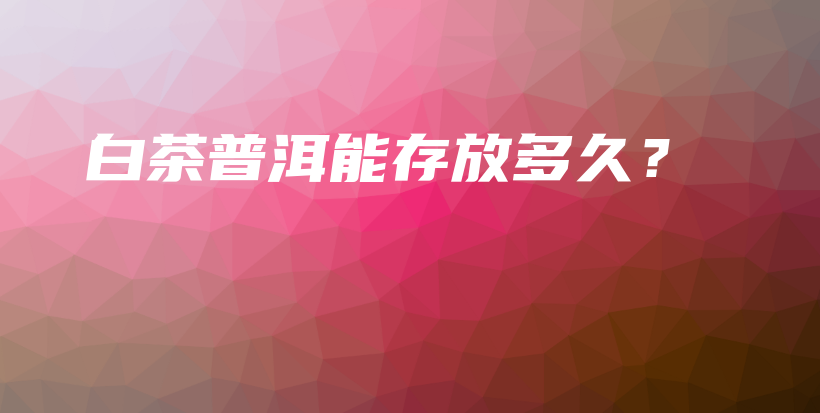 白茶普洱能存放多久？插圖