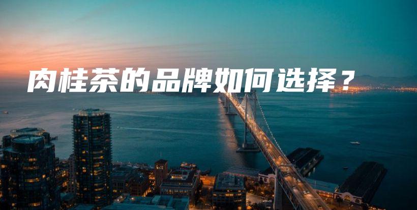 肉桂茶的品牌如何選擇？插圖