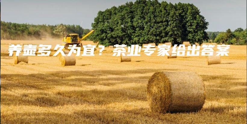 養(yǎng)壺多久為宜？茶業(yè)專(zhuān)家給出答案插圖