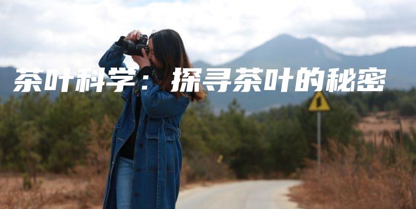 茶葉科學(xué)：探尋茶葉的秘密插圖