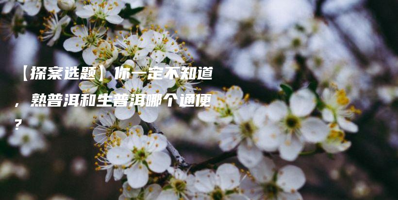 【探案選題】你一定不知道，熟普洱和生普洱哪個(gè)通便？插圖