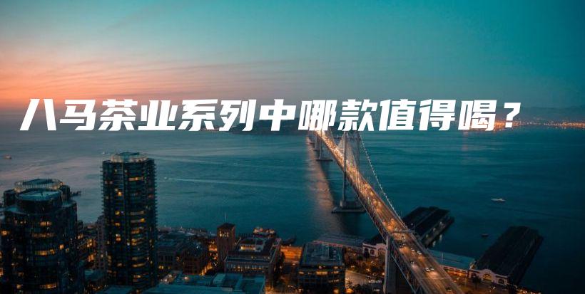 八馬茶業(yè)系列中哪款值得喝？插圖