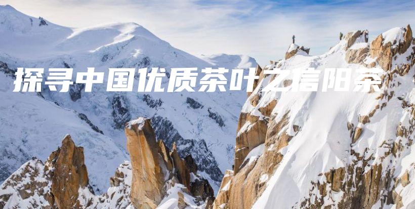 探尋中國(guó)優(yōu)質(zhì)茶葉之信陽(yáng)茶插圖
