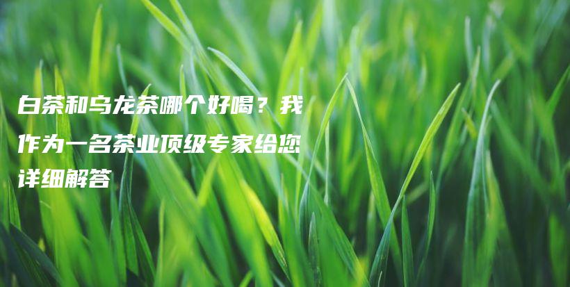 白茶和烏龍茶哪個(gè)好喝？我作為一名茶業(yè)頂級(jí)專家給您詳細(xì)解答插圖